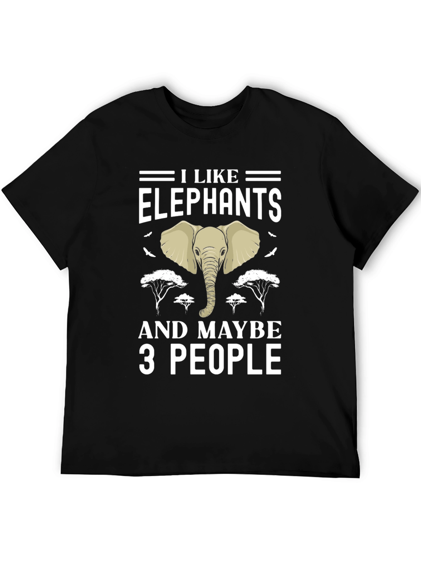 I Like Elephants and Maybe 3 People Graphic Tee