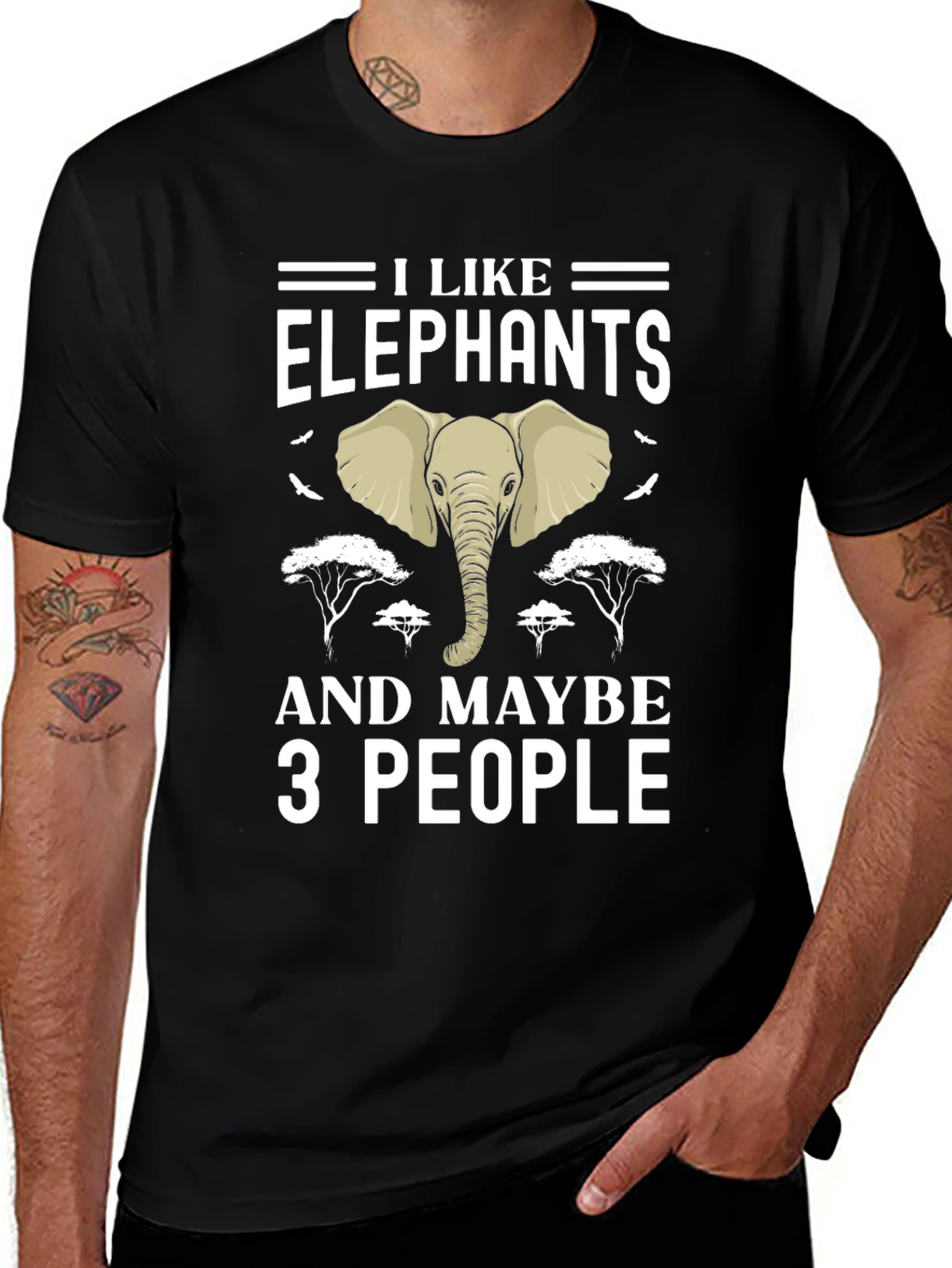 I Like Elephants and Maybe 3 People Graphic Tee