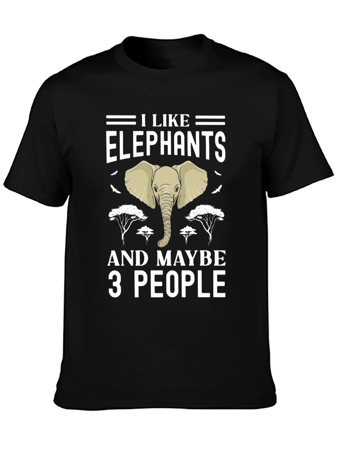 I Like Elephants and Maybe 3 People Graphic Tee