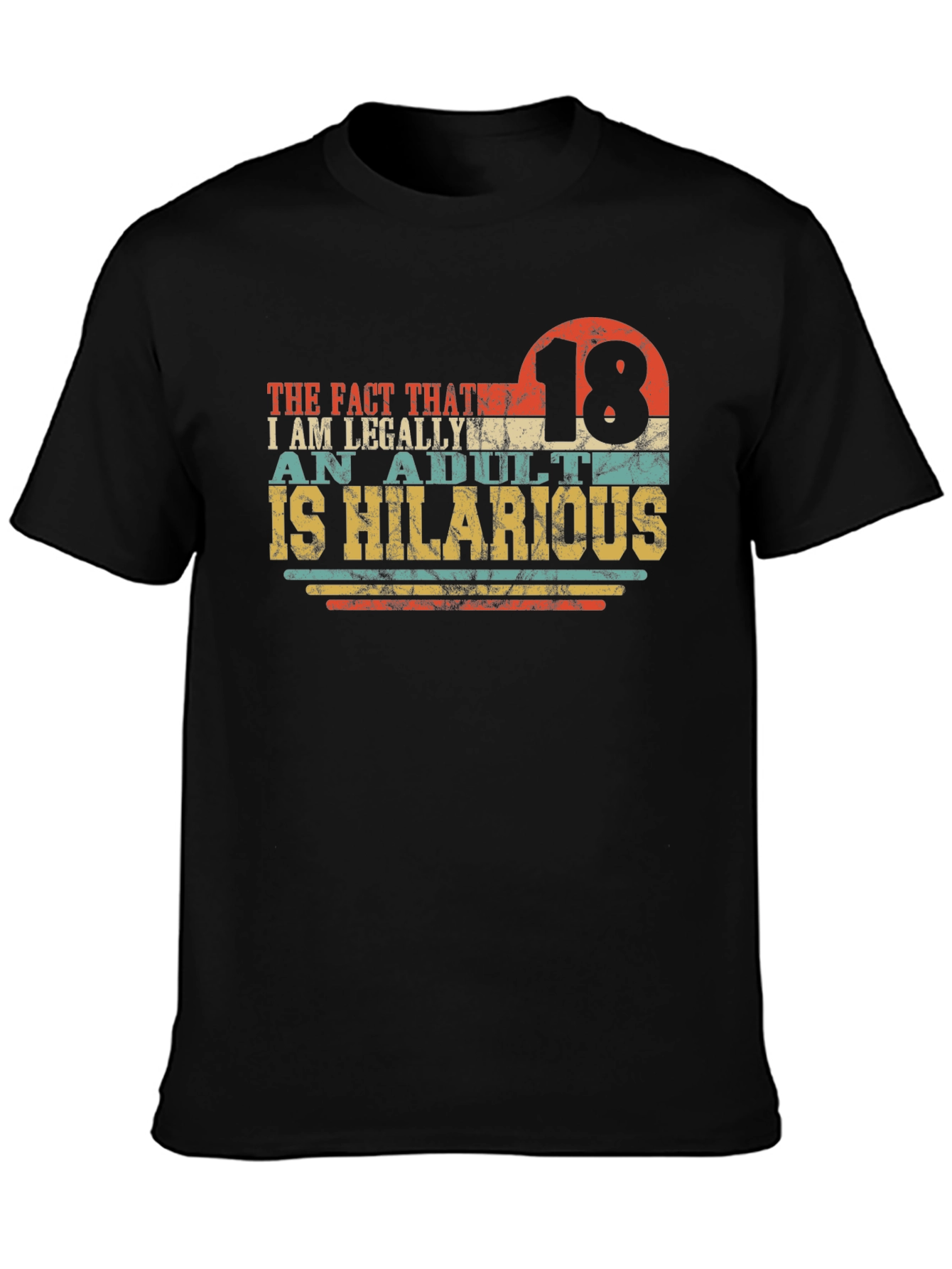 18th Birthday Funny Adult T-Shirt