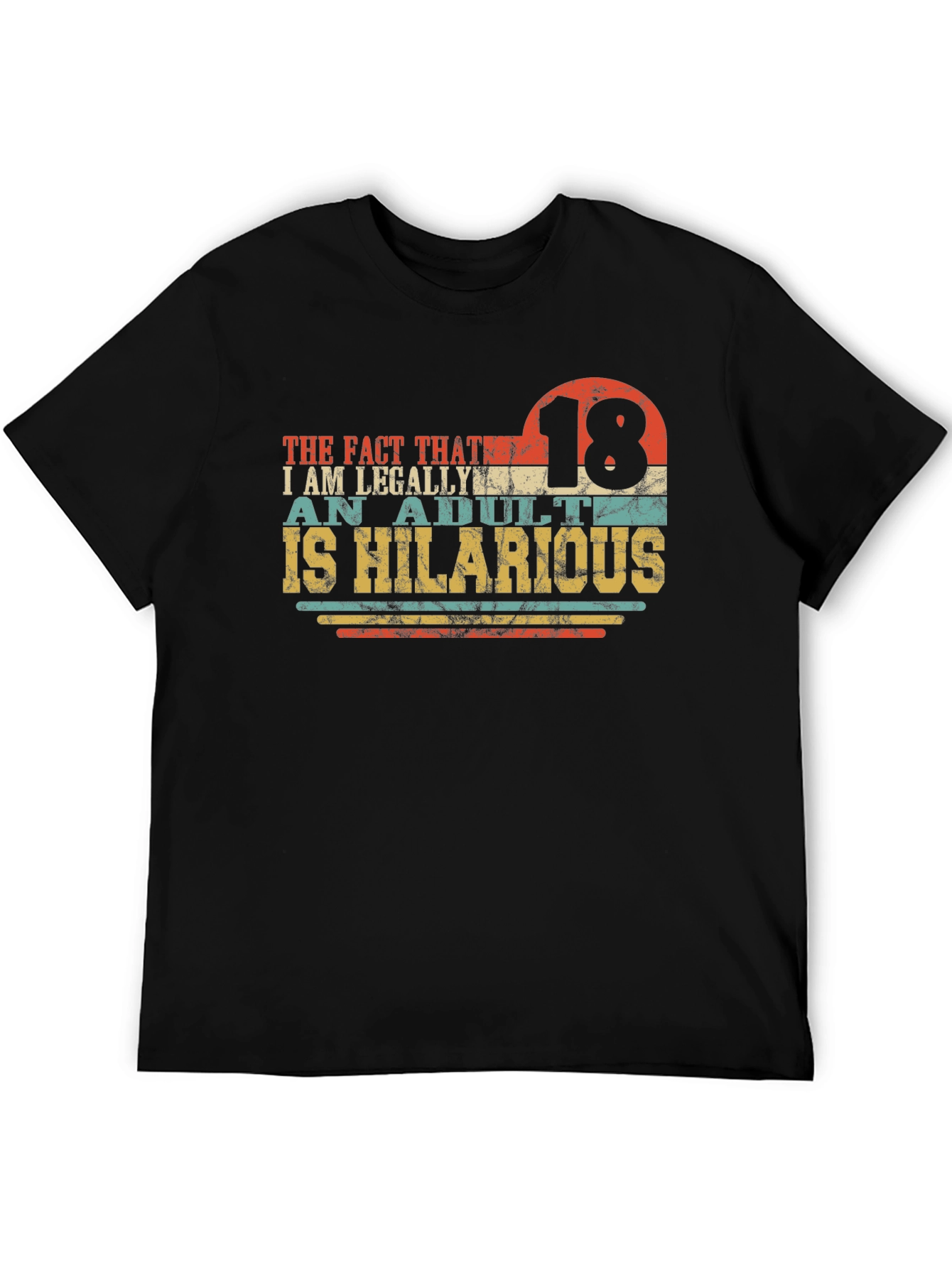 18th Birthday Funny Adult T-Shirt