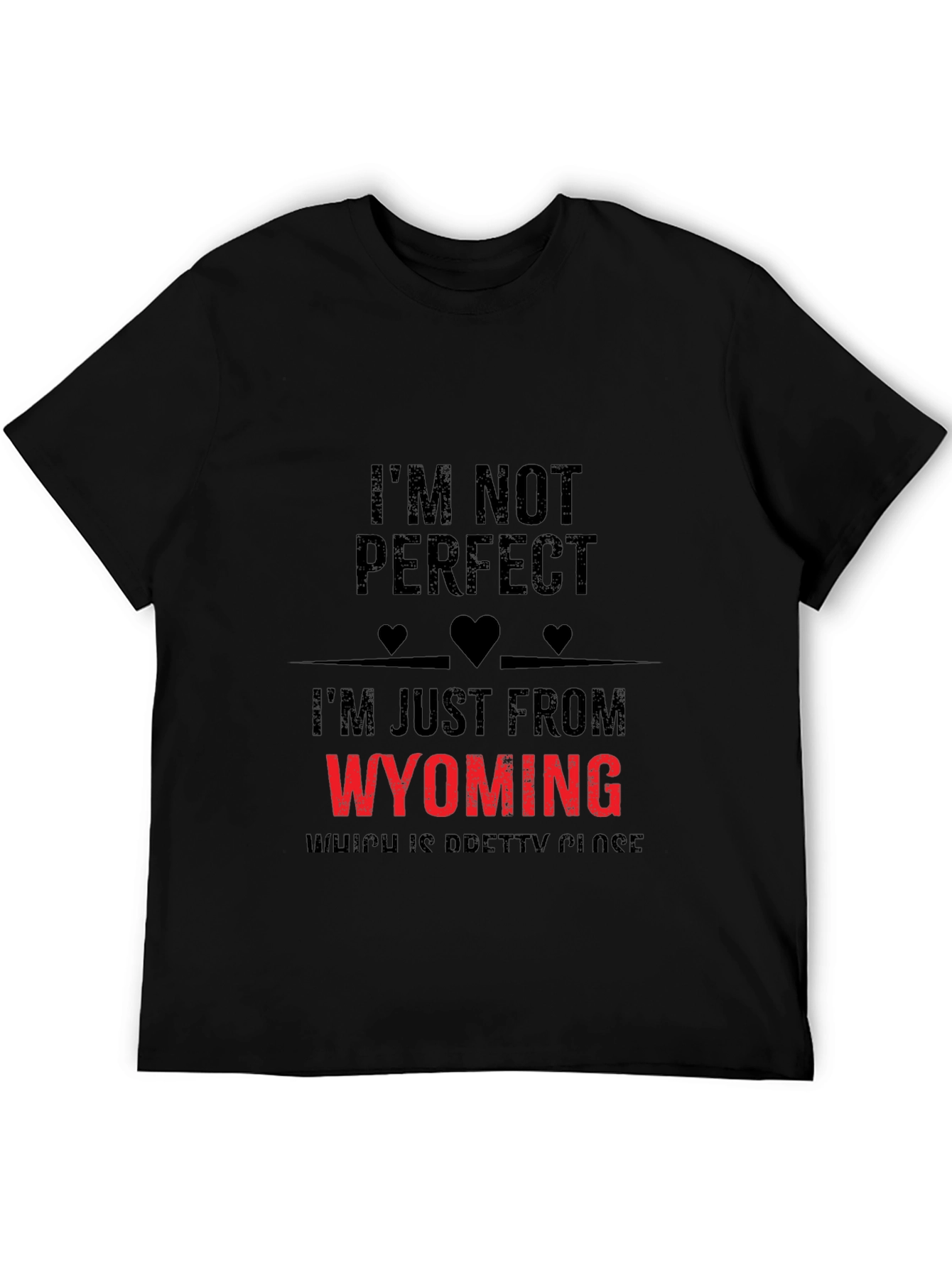 Im From Wyoming Novelty T-Shirt