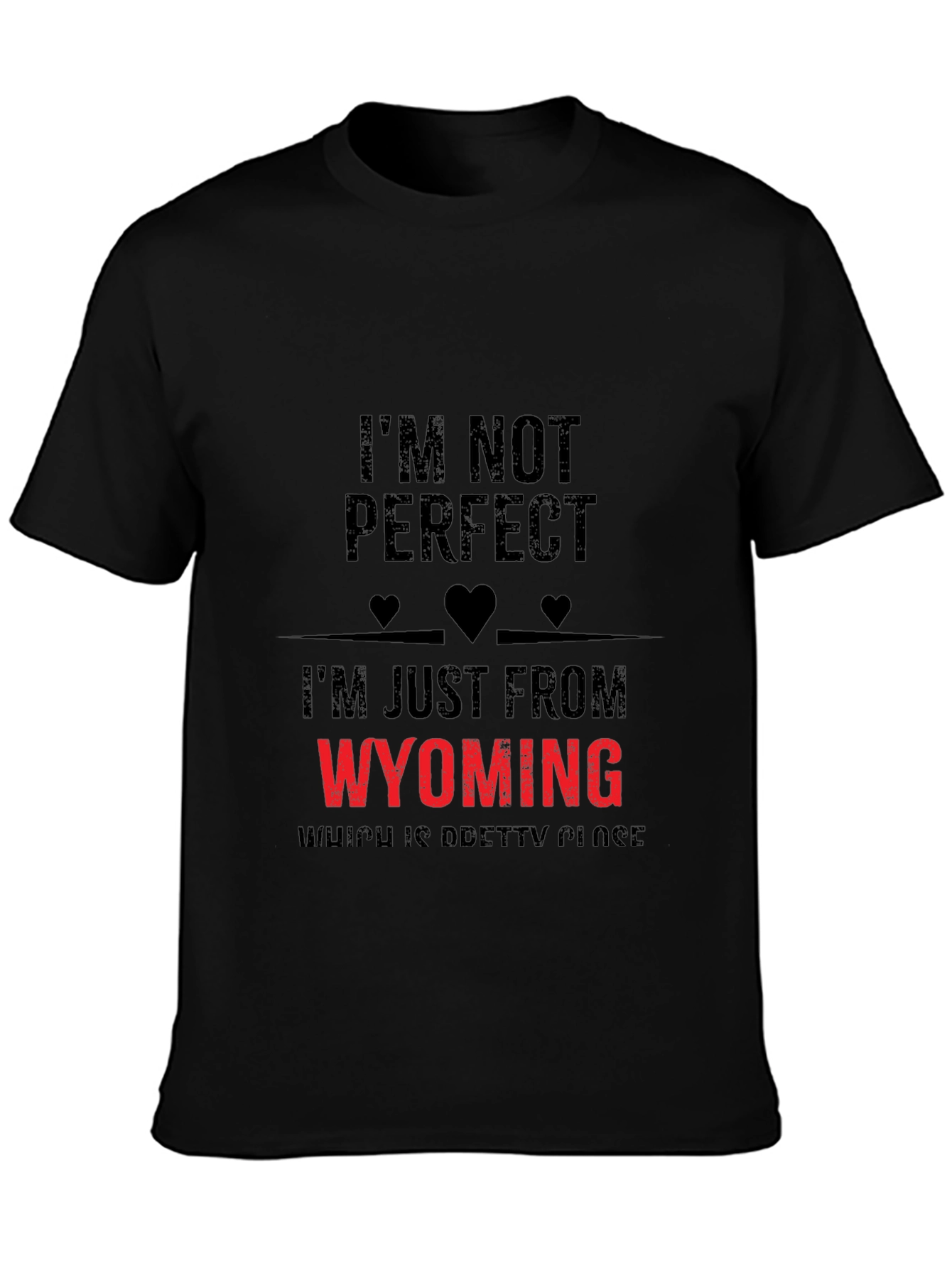Im From Wyoming Novelty T-Shirt