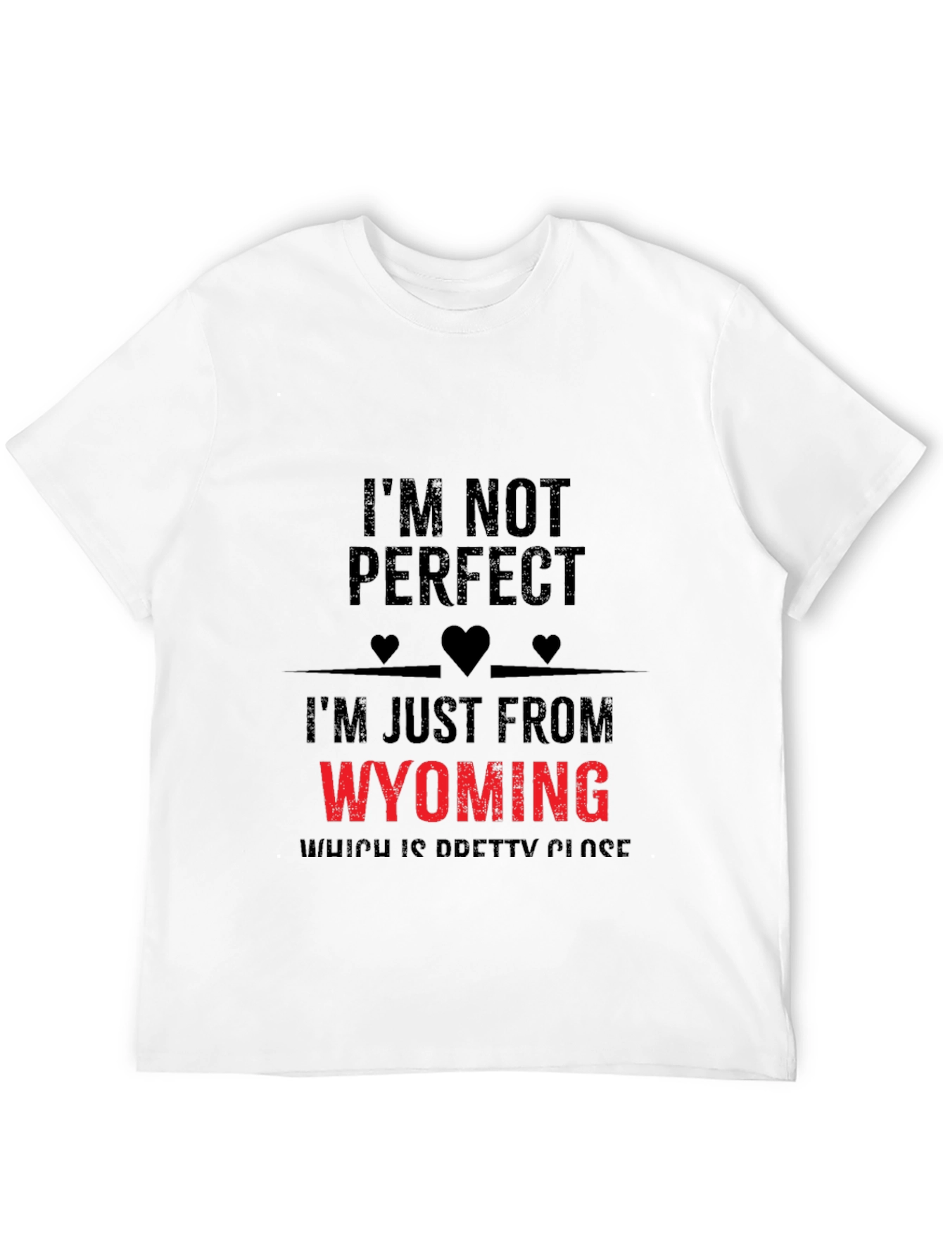Im From Wyoming Novelty T-Shirt