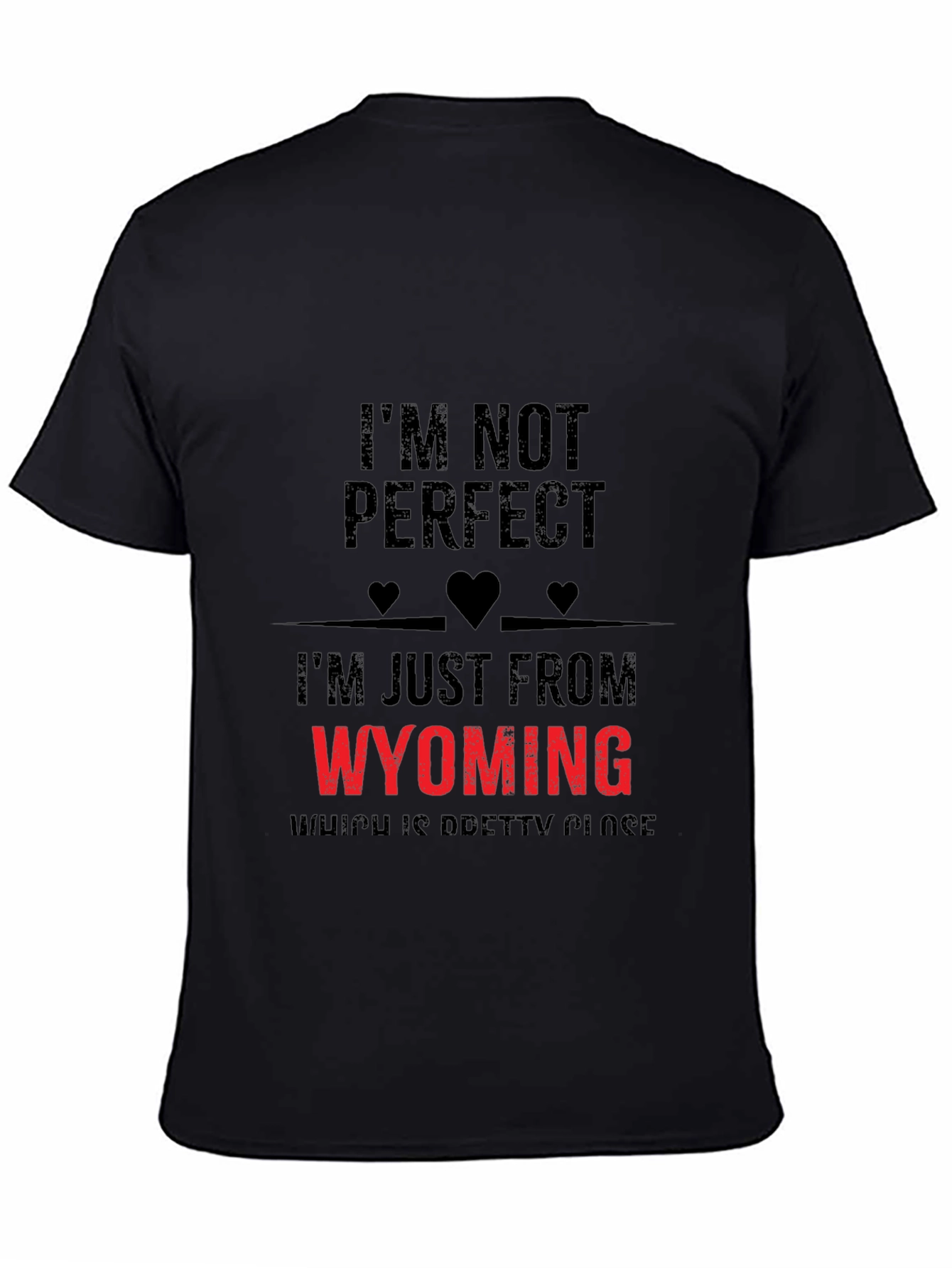 Im From Wyoming Novelty T-Shirt