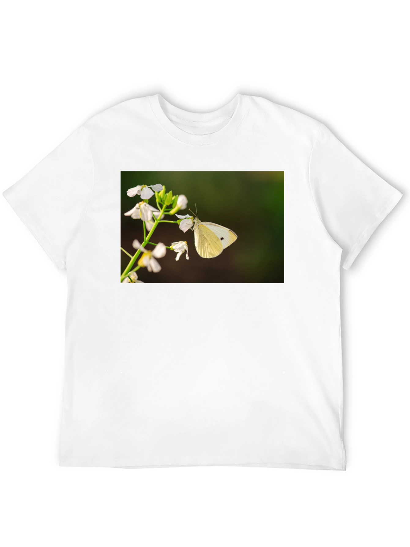 Butterfly Print Black T-Shirt
