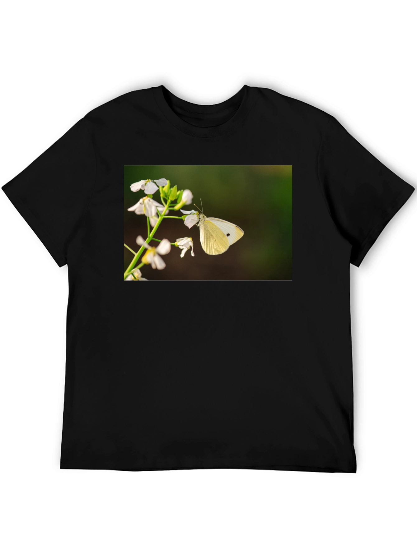 Butterfly Print Black T-Shirt