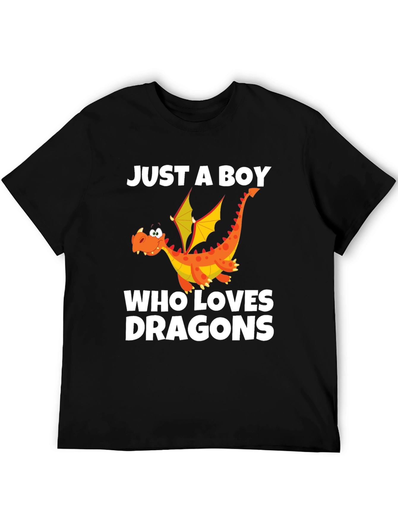 Boys Dragon Lover Graphic T-Shirt