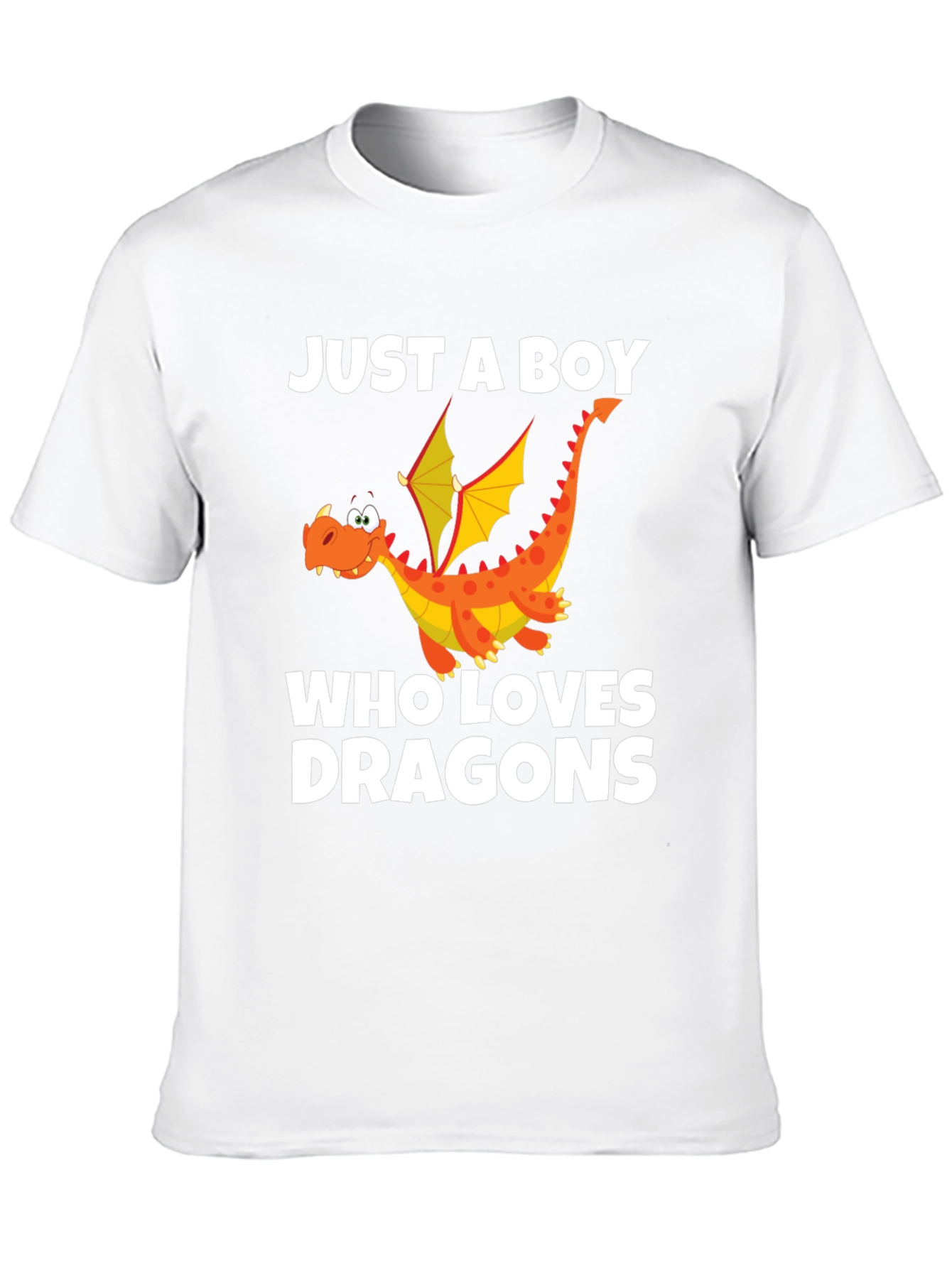 Boys Dragon Lover Graphic T-Shirt