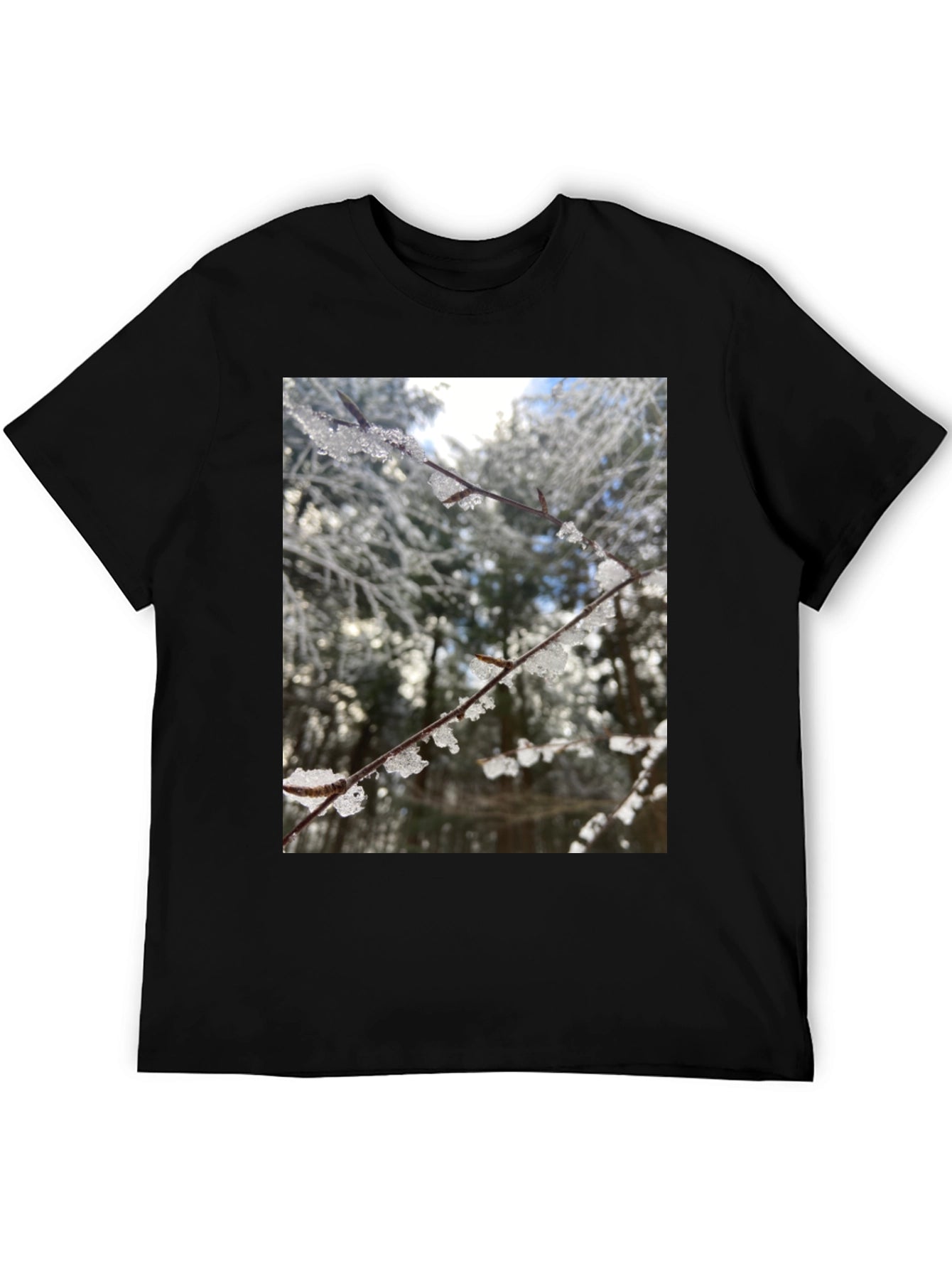 Winter Branch Graphic Tee - Nature Inspired Design