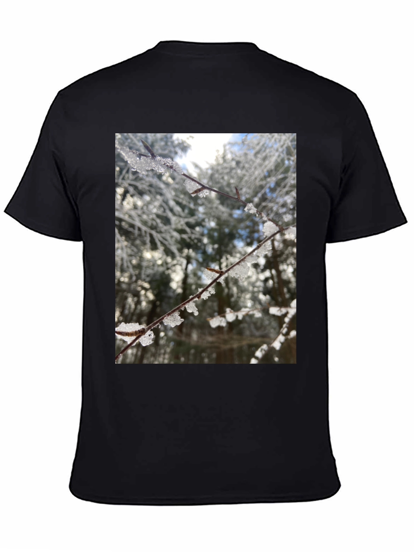 Winter Branch Graphic Tee - Nature Inspired Design