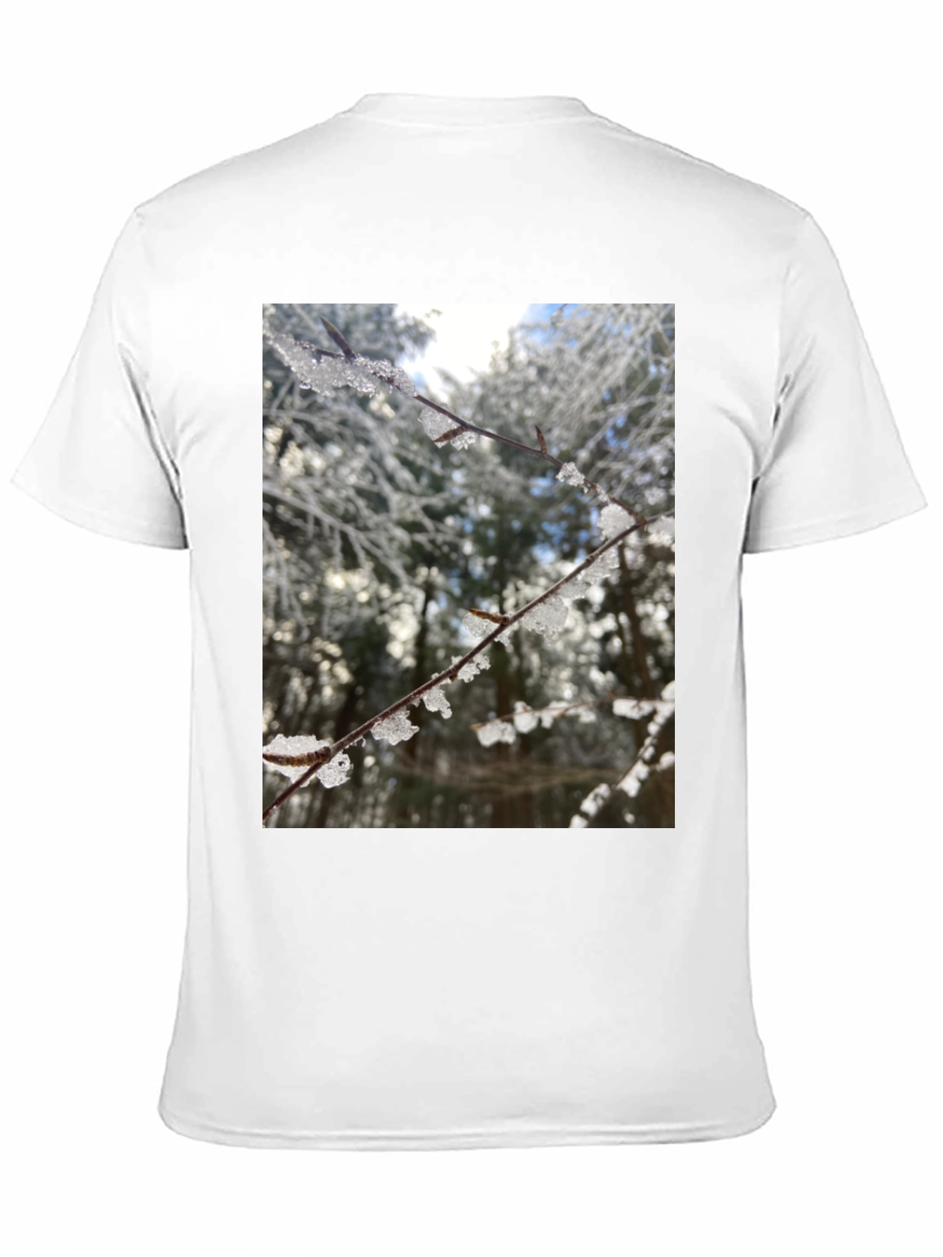 Winter Branch Graphic Tee - Nature Inspired Design