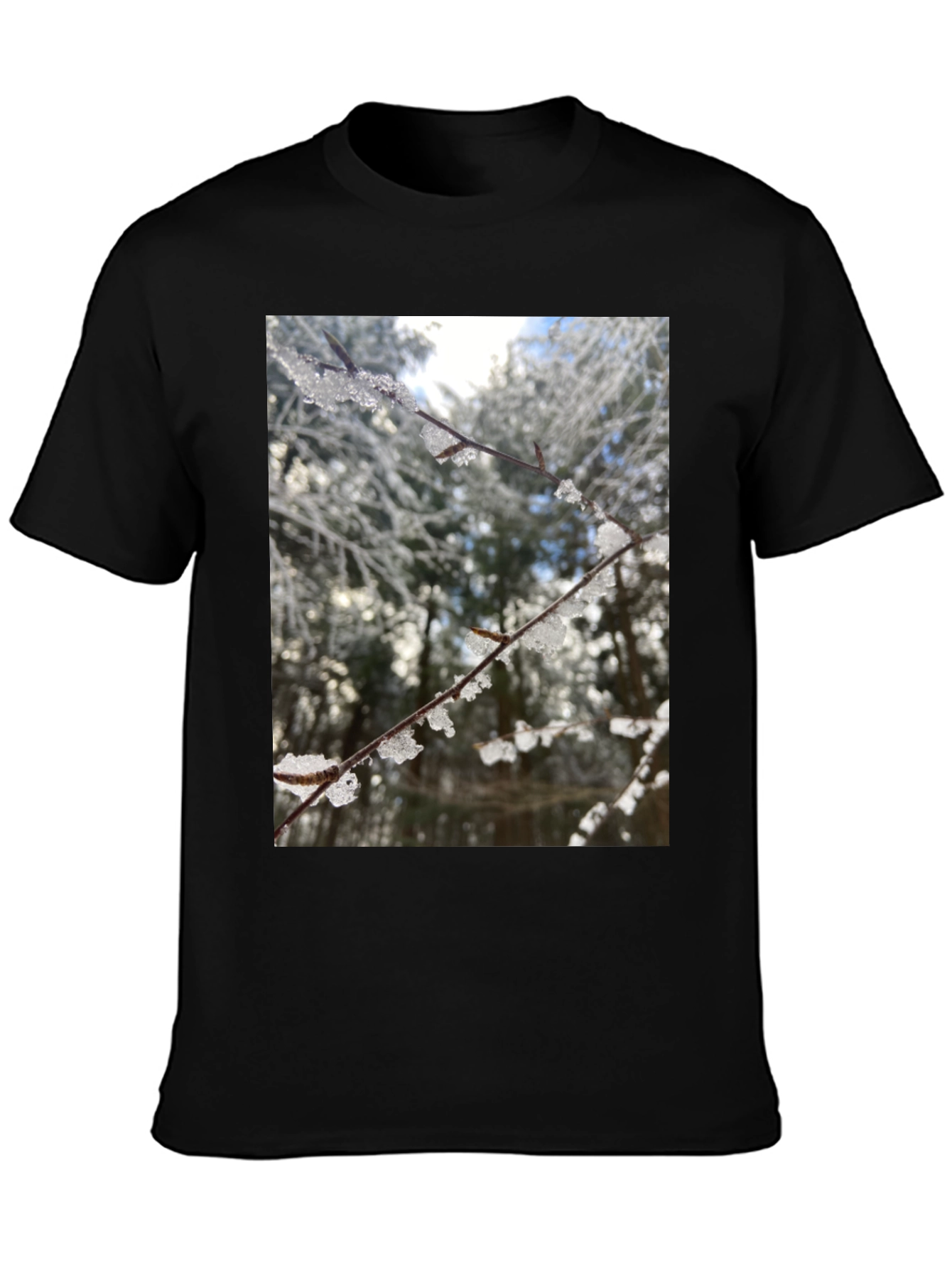 Winter Branch Graphic Tee - Nature Inspired Design