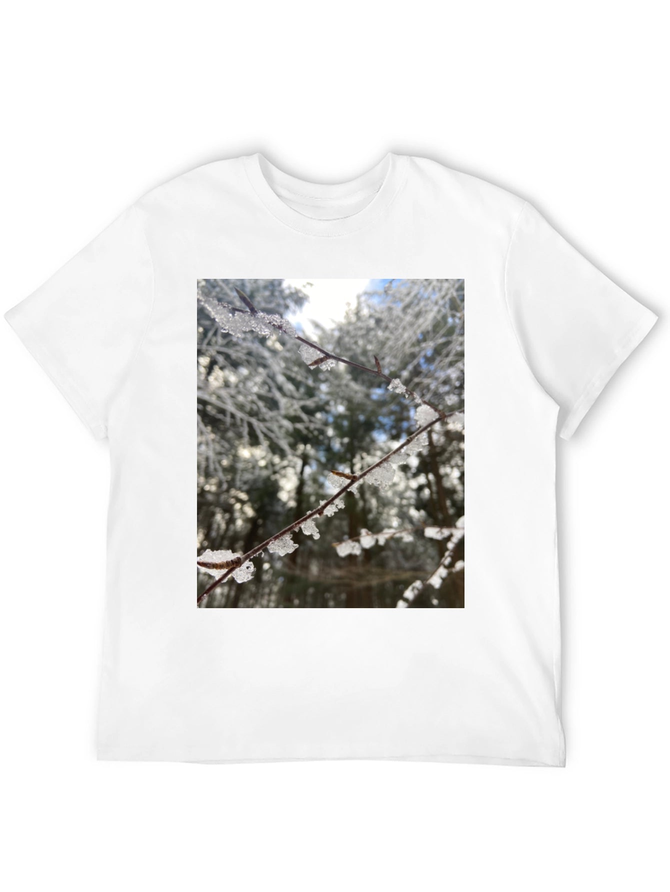 Winter Branch Graphic Tee - Nature Inspired Design