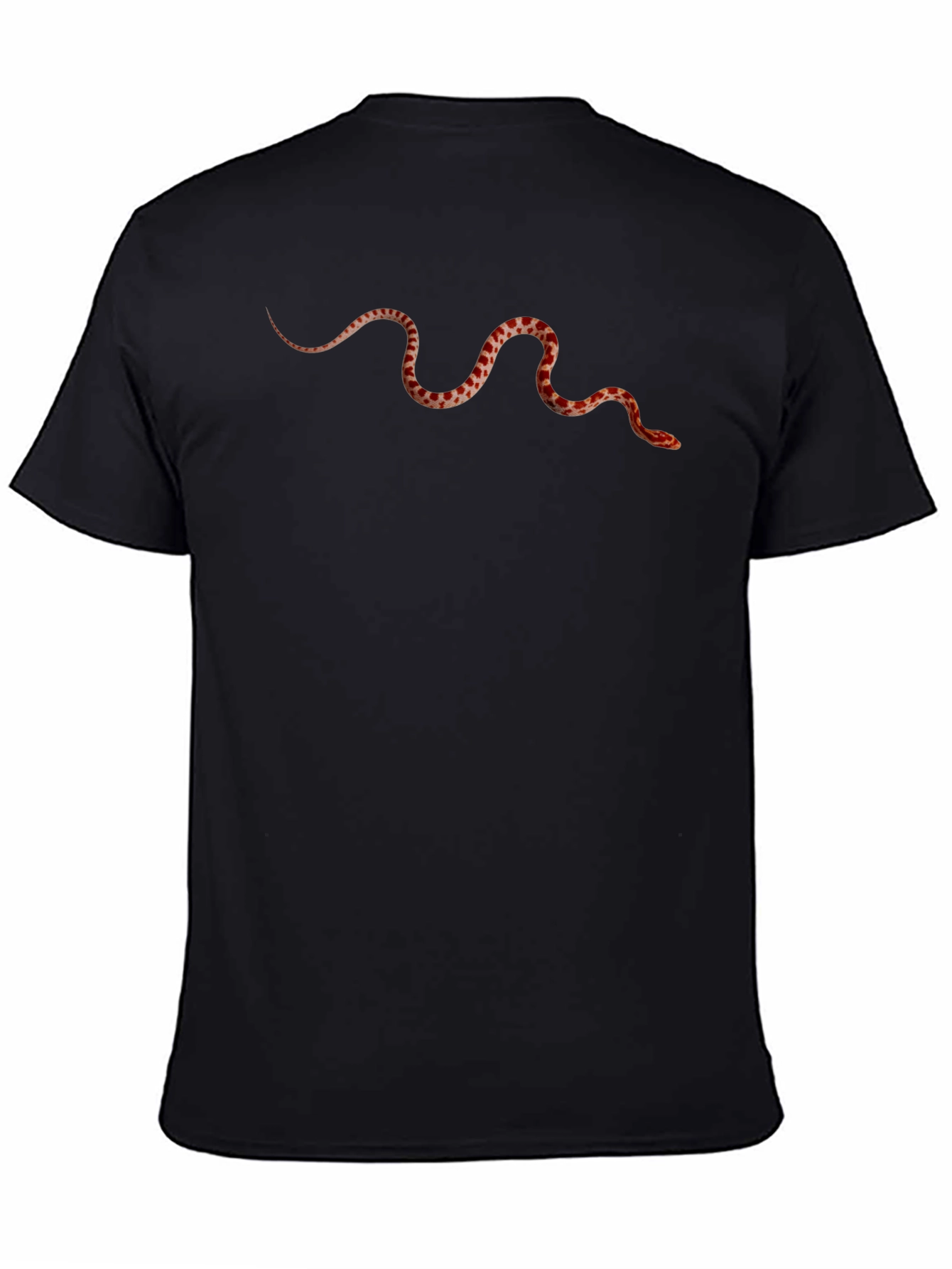 Snake Graphic Print Black T-Shirt