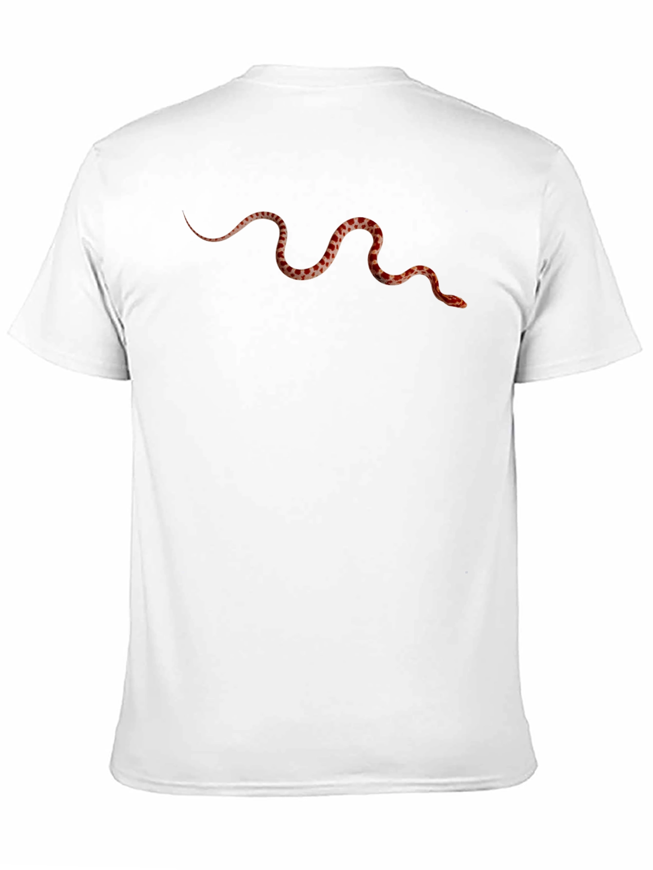 Snake Graphic Print Black T-Shirt