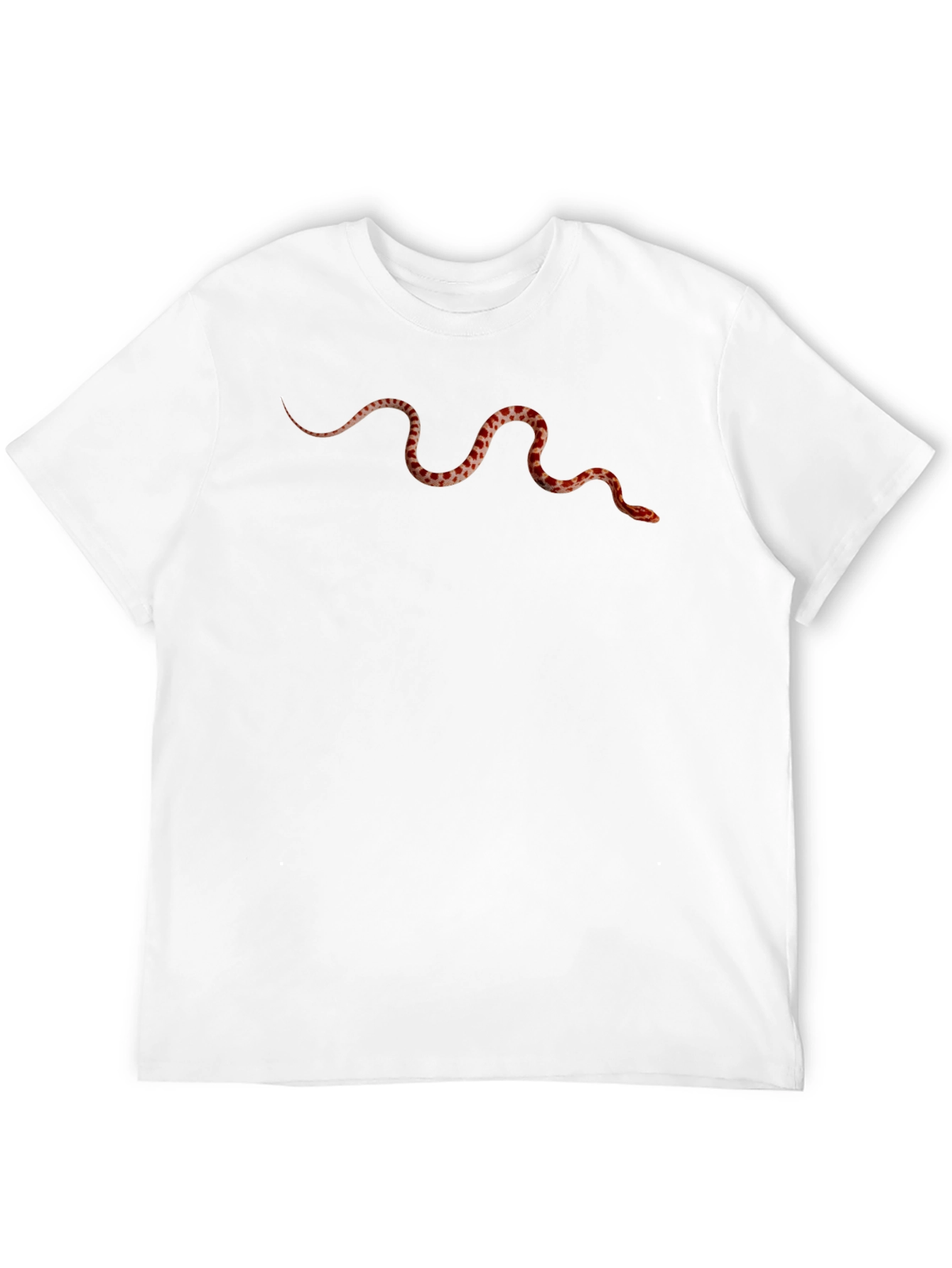 Snake Graphic Print Black T-Shirt