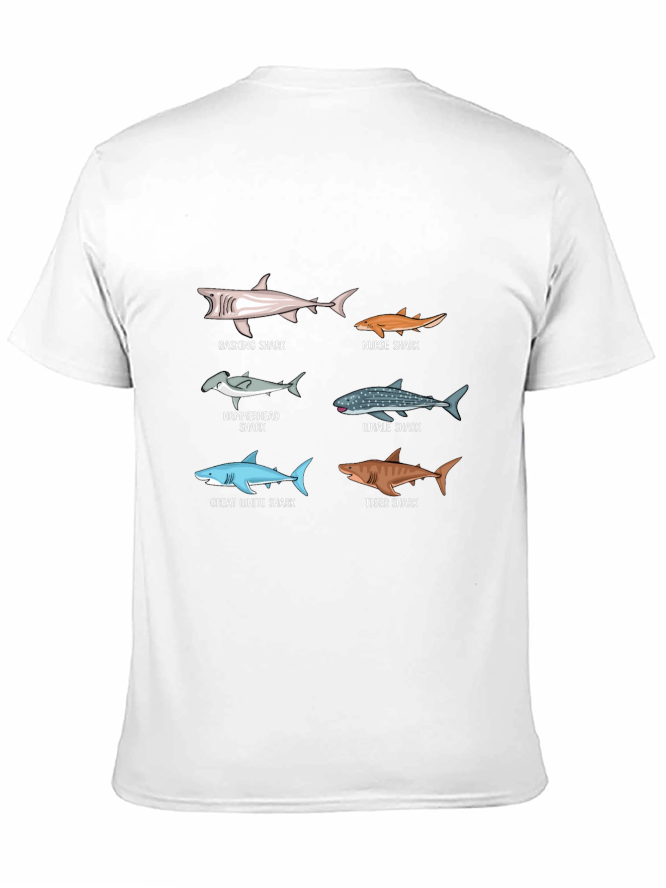 Shark Species Graphic Print T-Shirt