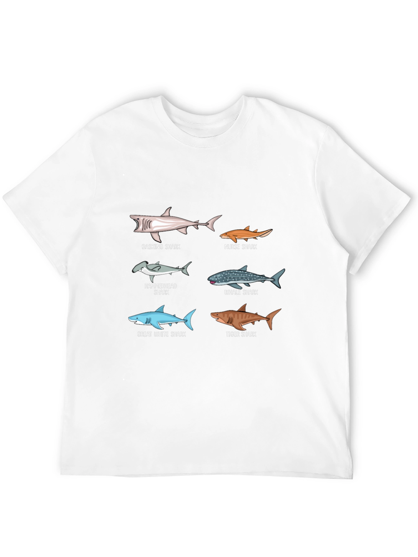 Shark Species Graphic Print T-Shirt