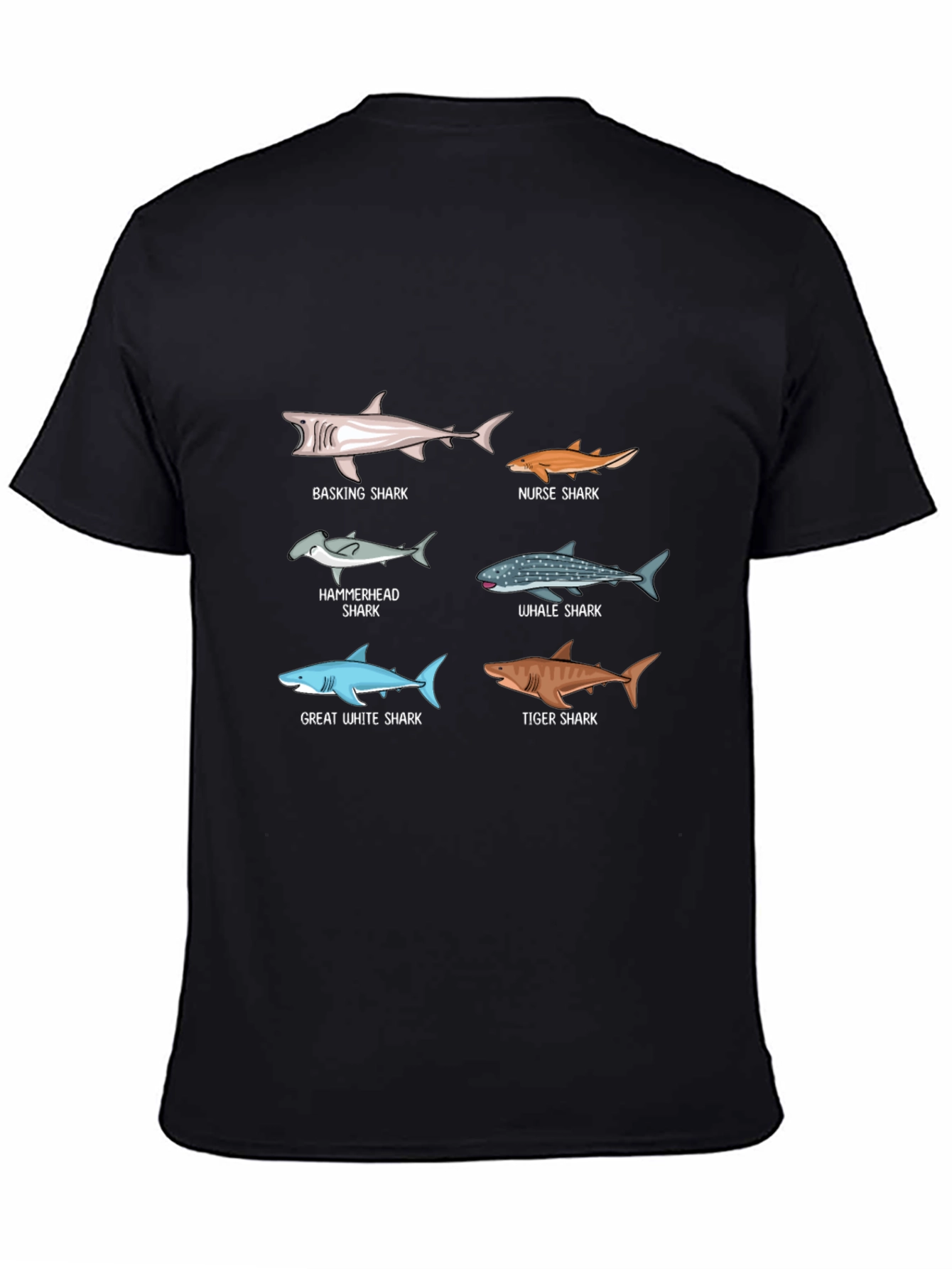 Shark Species Graphic Print T-Shirt