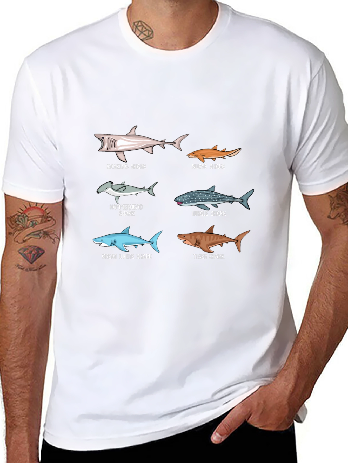 Shark Species Graphic Print T-Shirt