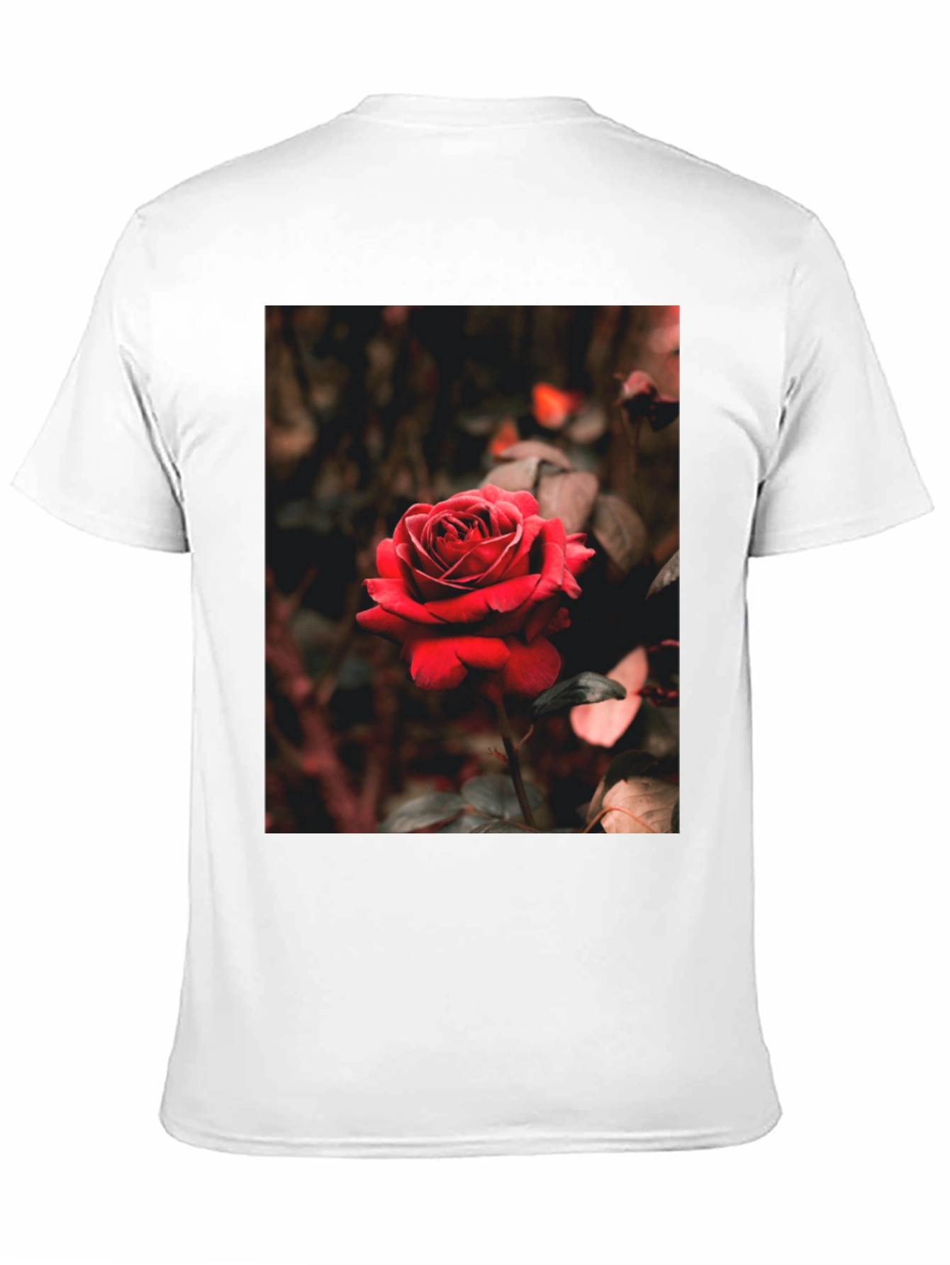 Rose Graphic Tee - Black Cotton T-Shirt