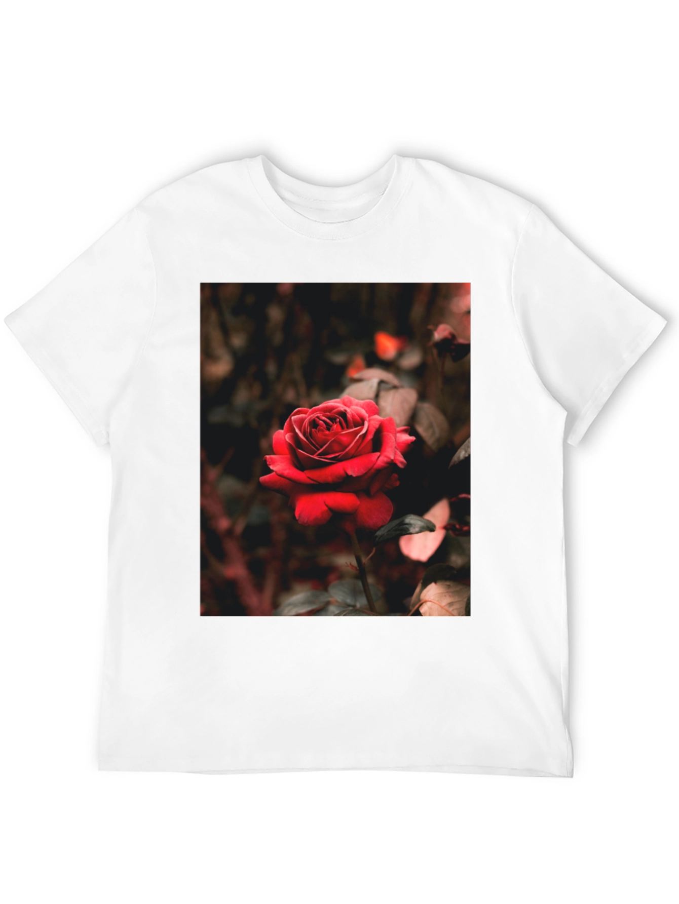 Rose Graphic Tee - Black Cotton T-Shirt
