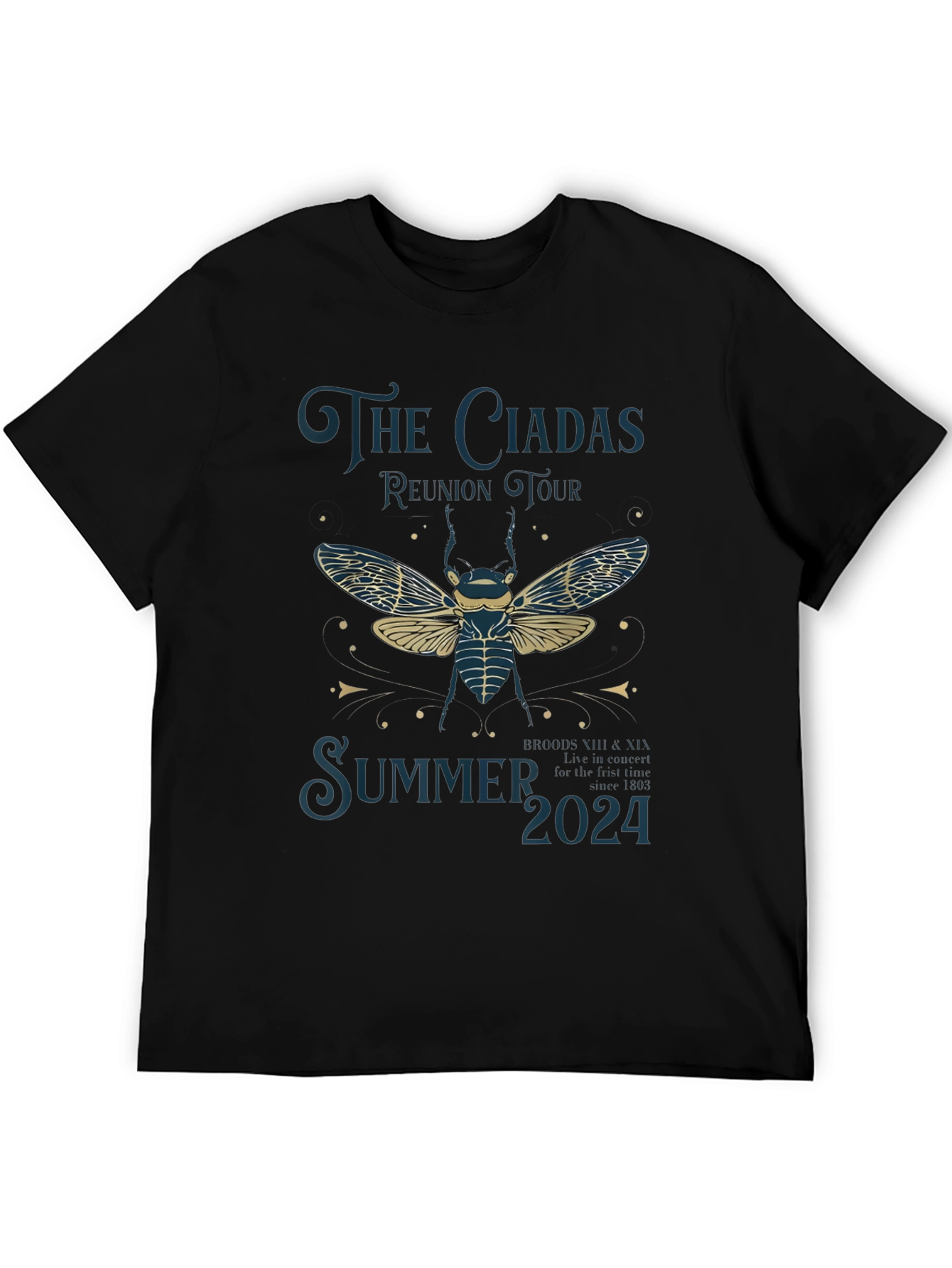 The Ciadas Reunion Tour Summer 2024 T-Shirt