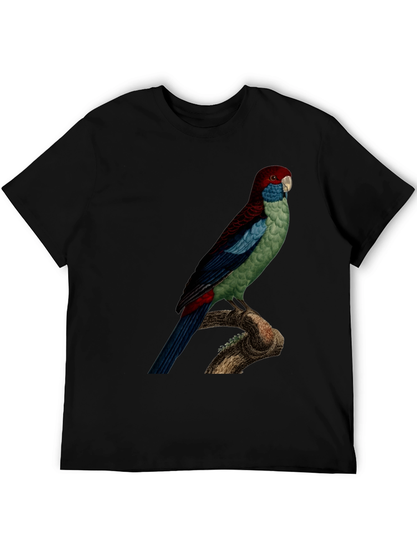 Parrot Graphic Tee - Black
