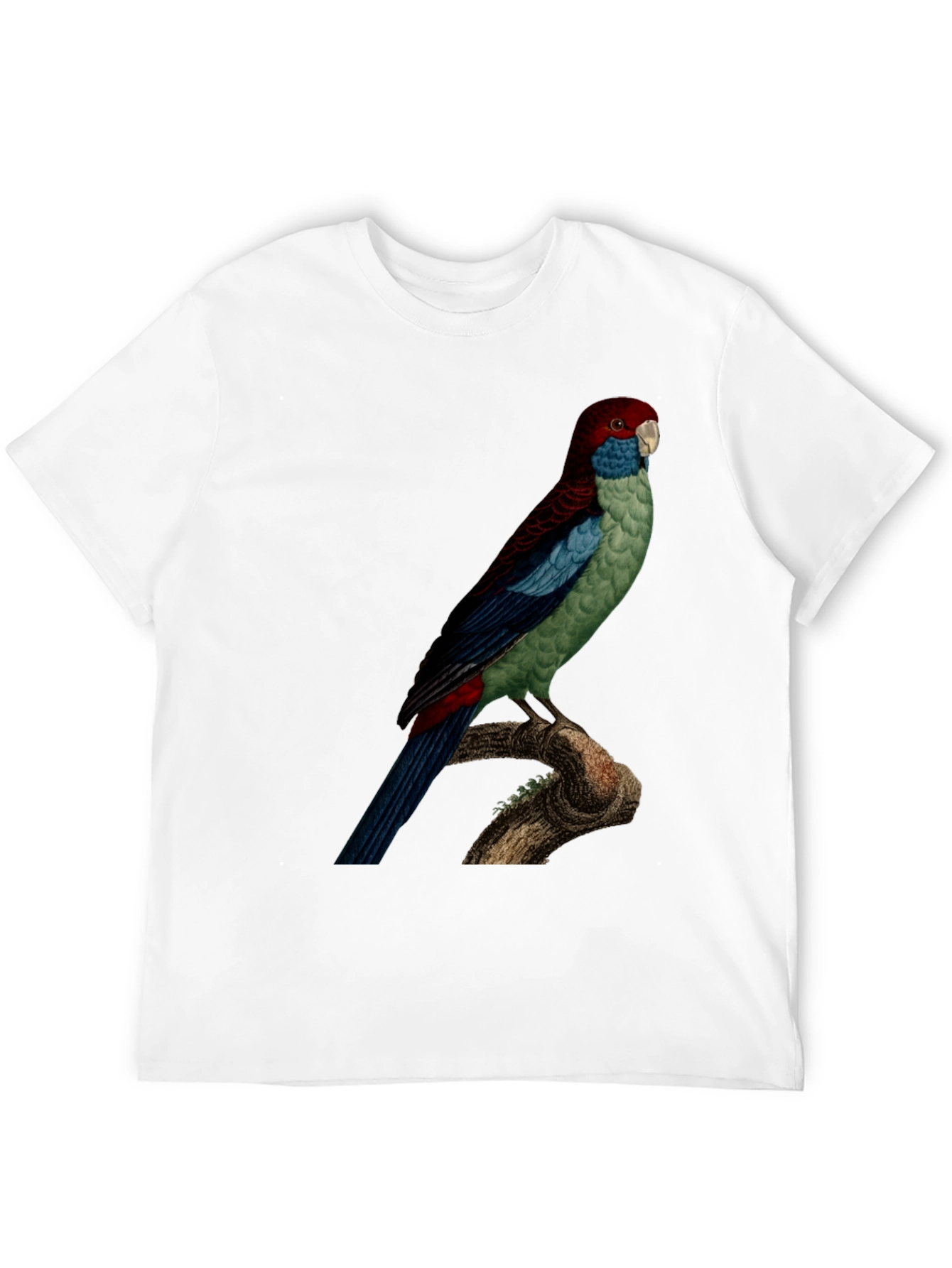 Parrot Graphic Tee - Black
