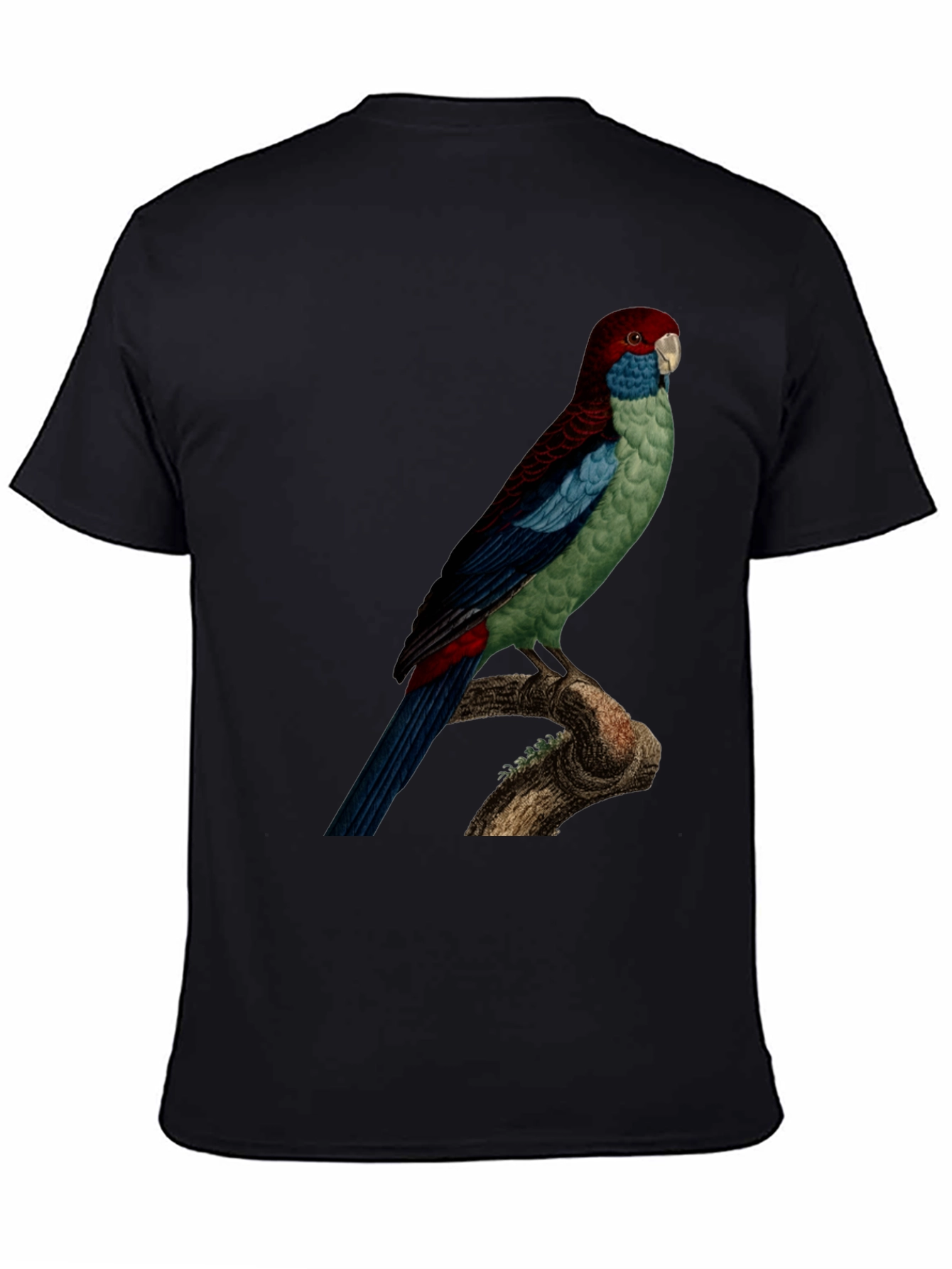 Parrot Graphic Tee - Black