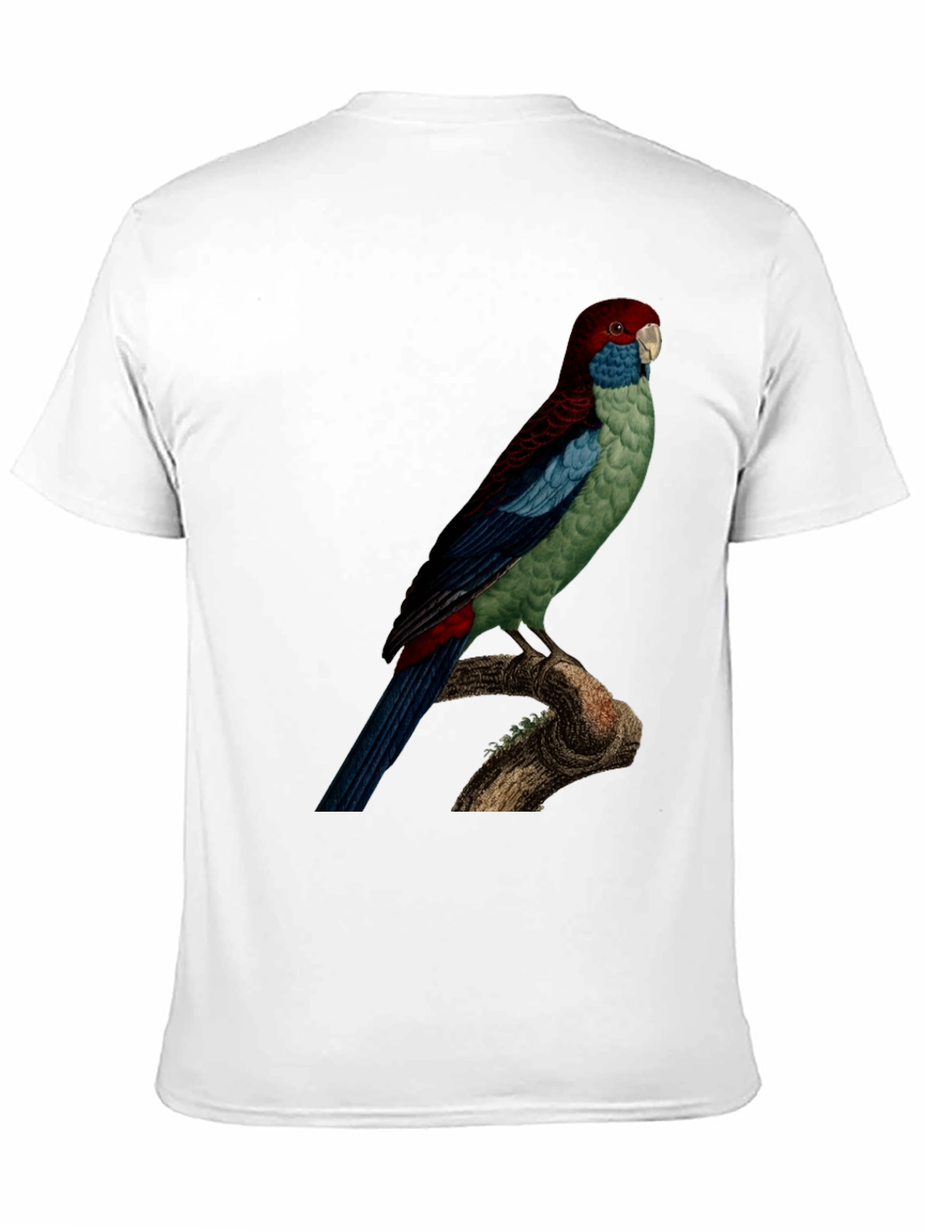 Parrot Graphic Tee - Black