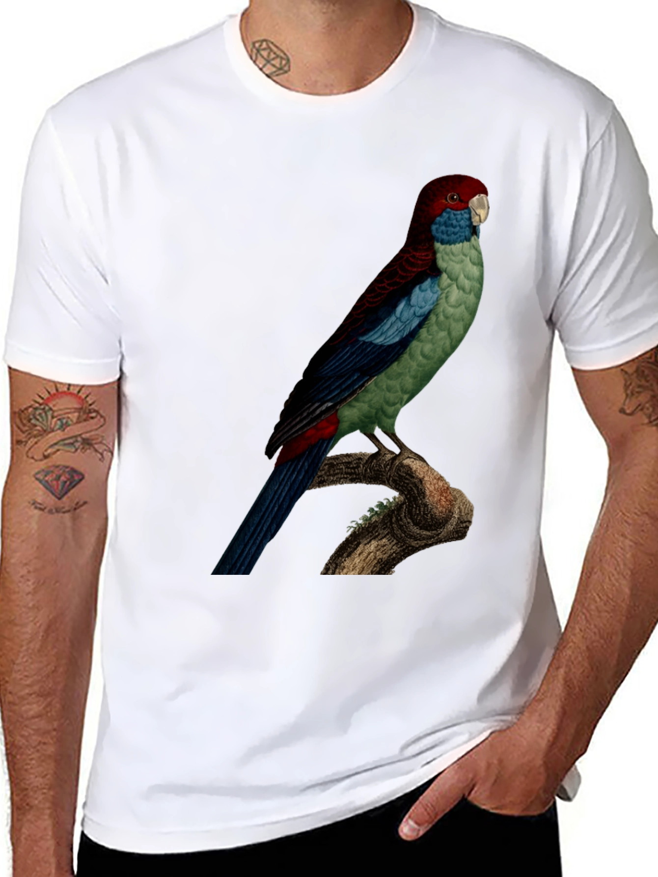 Parrot Graphic Tee - Black