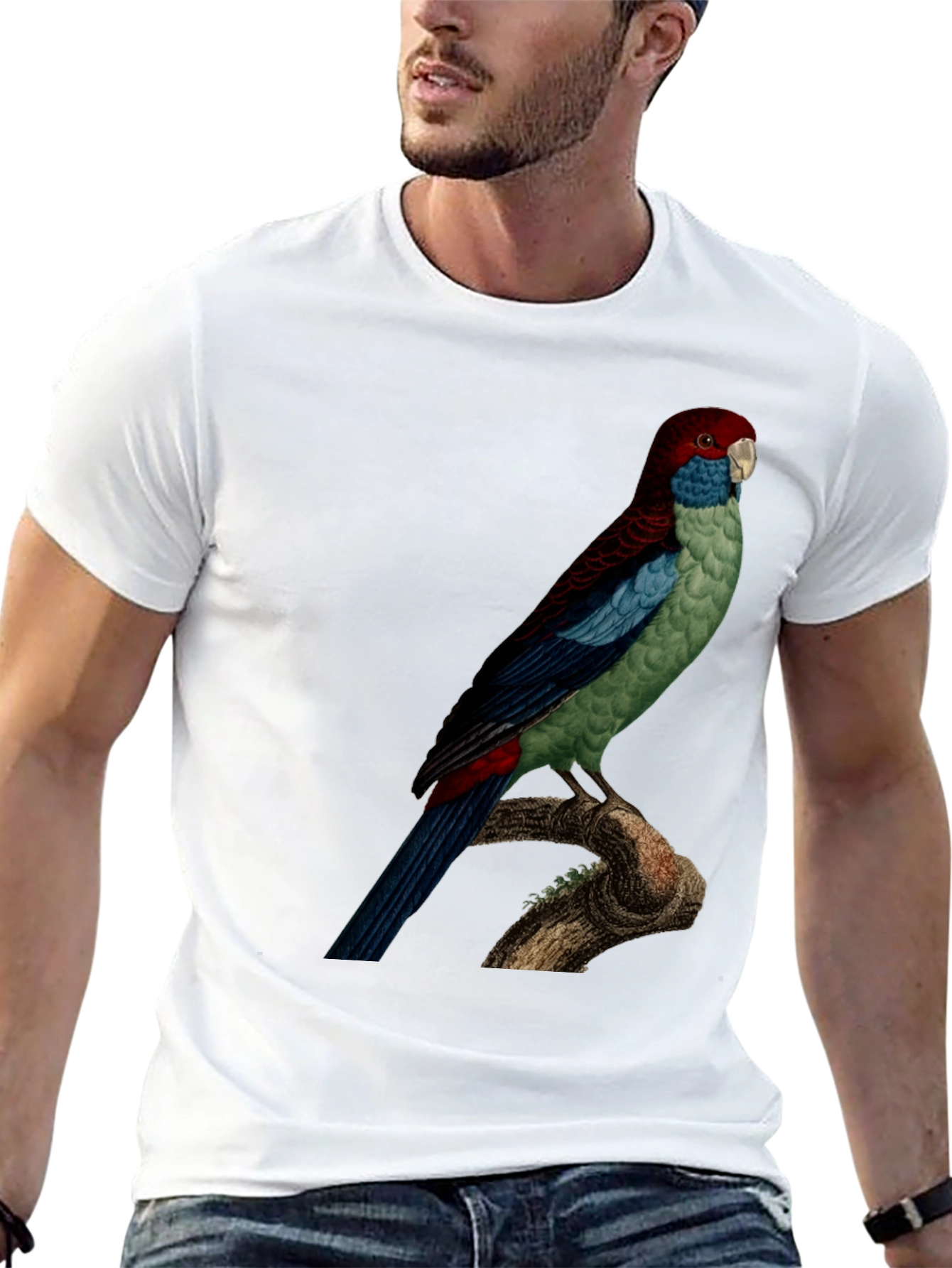 Parrot Graphic Tee - Black