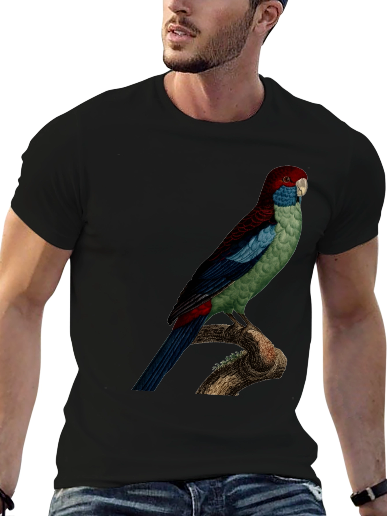 Parrot Graphic Tee - Black