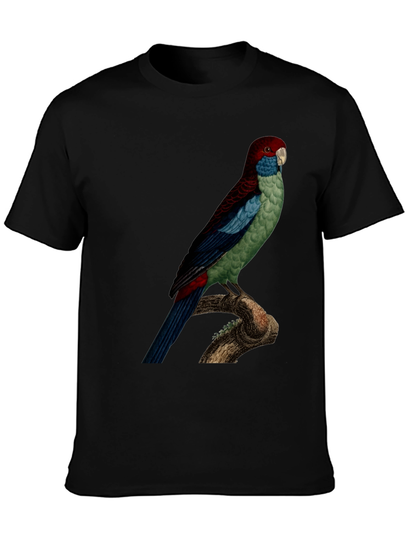 Parrot Graphic Tee - Black