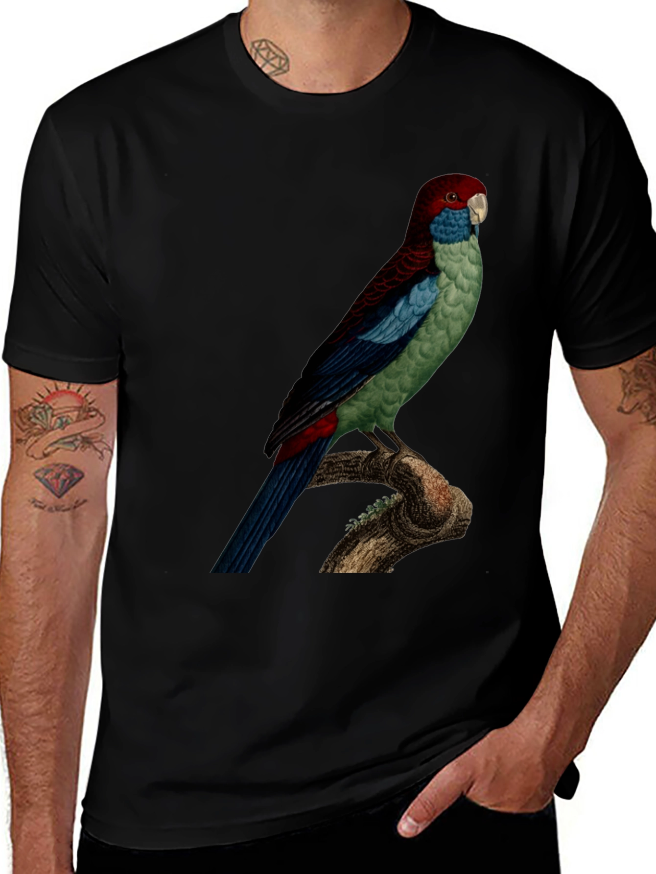 Parrot Graphic Tee - Black